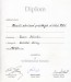 diplom1994-Litomyšl-a